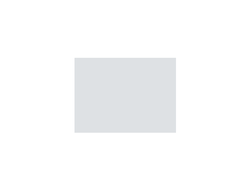 Gris colorés - 031A PRODIROX