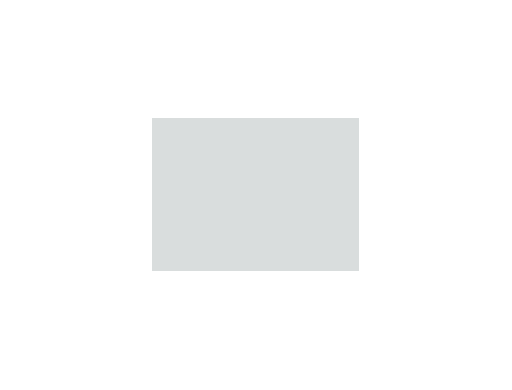 Gris colorés - 032C PRODIROX