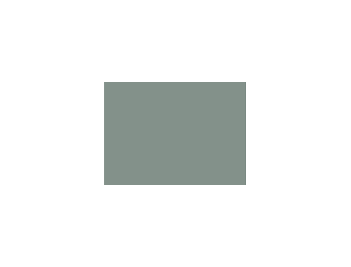Gris colorés - 040C PRODIROX