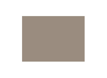 Beiges colorés - 054C PRODIROX