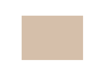 Beiges colorés - 060C PRODIROX