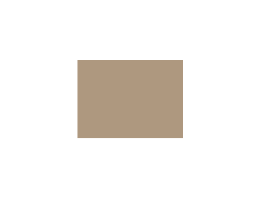 Beiges colorés - 063E PRODIROX