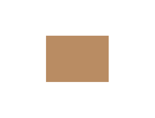 Beiges colorés - 065E PRODIROX