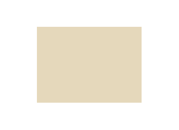 Beiges colorés - 069B PRODIROX