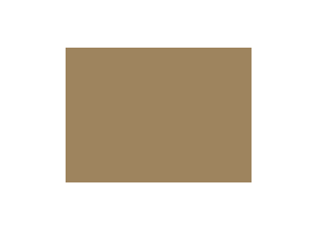 Beiges colorés - 069D PRODIROX