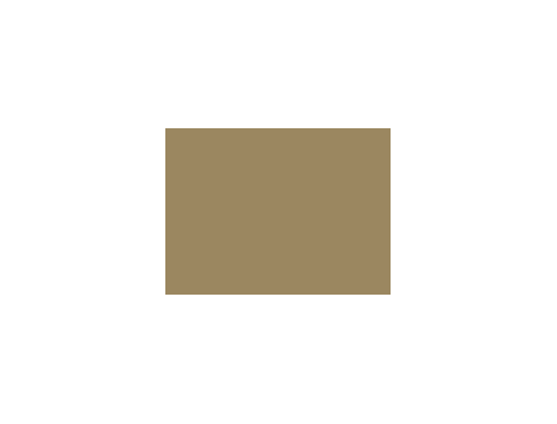 Beiges colorés - 070E PRODIROX