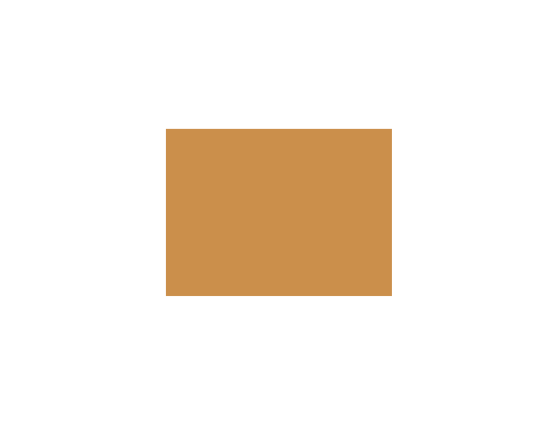 Oranges colorés - 086E PRODIROX