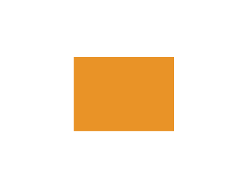 Oranges colorés - 088E PRODIROX