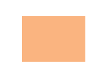 Oranges colorés - 093C PRODIROX