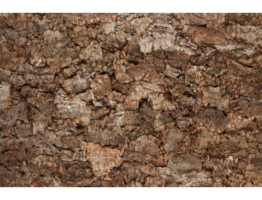 Dalles à coller en liège ORIGINE - LIEGISOL