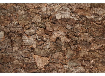 Dalles à coller en liège ORIGINE - LIEGISOL