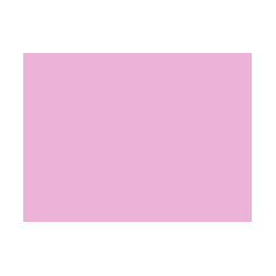 Violets colorés - 122A PRODIROX