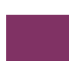 Violets colorés - 123E PRODIROX