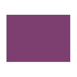 Violets colorés - 124E PRODIROX