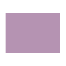 Violets colorés - 127A PRODIROX