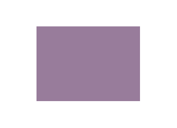 Violets colorés - 127B PRODIROX