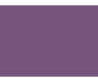 Violets colorés - 127C PRODIROX