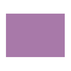 Violets colorés - 128A PRODIROX