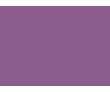 Violets colorés - 128B PRODIROX