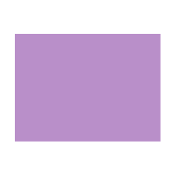 Violets colorés - 129E PRODIROX