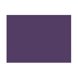 Violets colorés - 130E PRODIROX