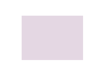 Violets colorés - 131B PRODIROX