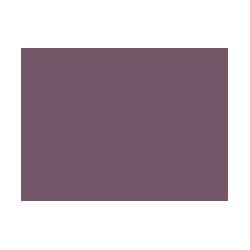 Violets colorés - 132E PRODIROX