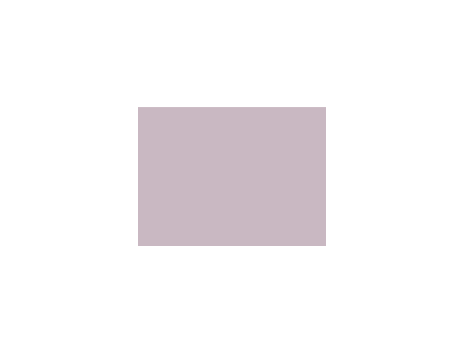 Violets colorés - 133A PRODIROX