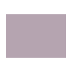 Violets colorés - 133B PRODIROX