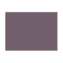 Violets colorés - 133E PRODIROX