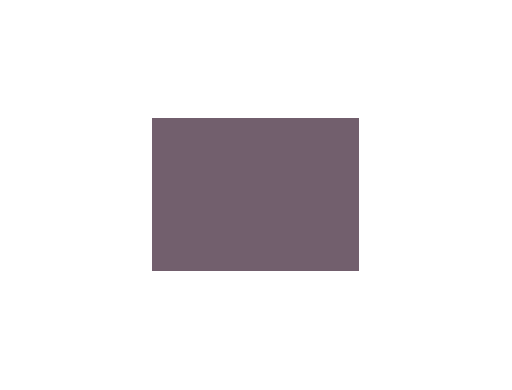 Violets colorés - 133E PRODIROX