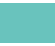Bleus colorés - 170D PRODIROX