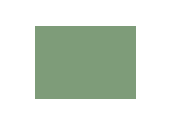 Verts colorés - 180C PRODIROX