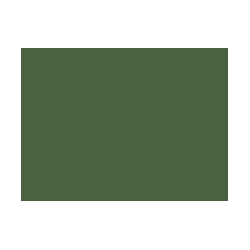 Verts colorés - 184E PRODIROX