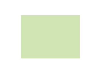 Verts colorés - 185B PRODIROX