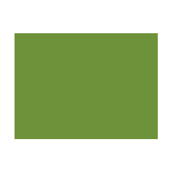 Verts colorés - 188E PRODIROX