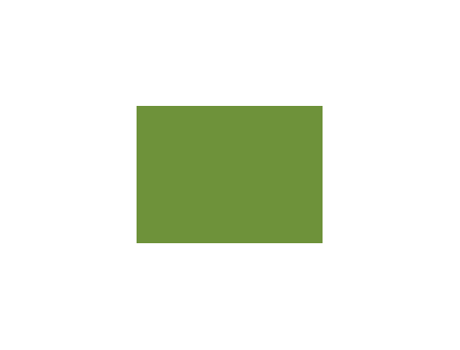 Verts colorés - 188E PRODIROX