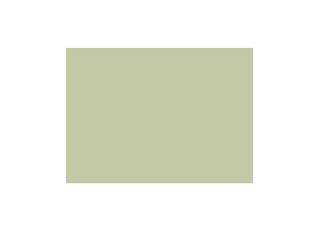 Verts colorés - 193B PRODIROX