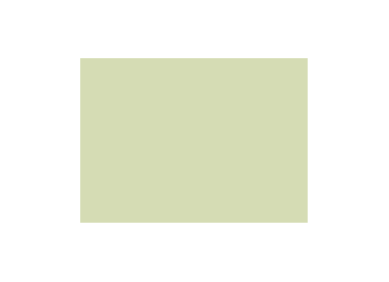 Verts colorés - 195B PRODIROX