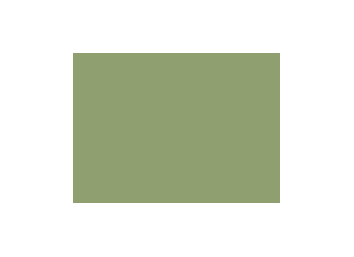 Verts colorés - 195D PRODIROX