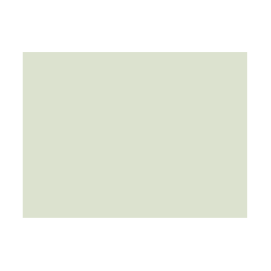 Verts colorés - 196A PRODIROX