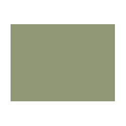 Verts colorés - 196E PRODIROX