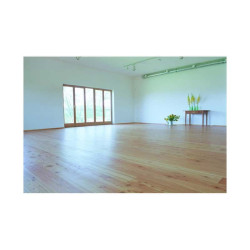 Cire dure - N°171 AURO