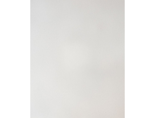 Badigeon d'argile 5kg - Blanc du Nil ARGILUS