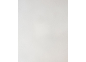 Badigeon d'argile 5kg - Blanc du Nil ARGILUS