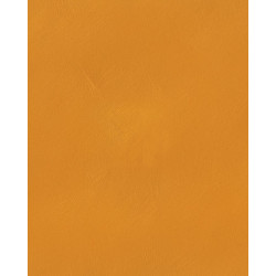 Badigeon d'argile 5kg - Jaune de Naples ARGILUS