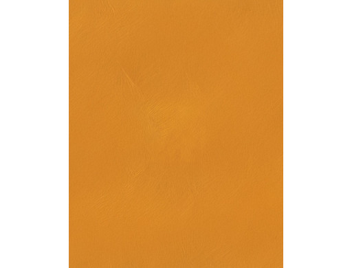 Badigeon d'argile 5kg - Jaune de Naples ARGILUS