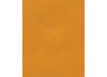 Badigeon d'argile 5kg - Jaune de Naples ARGILUS