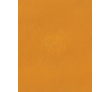Badigeon d'argile 5kg - Jaune de Naples ARGILUS