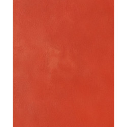 Badigeon d'argile 5kg - Rouge Ventien ARGILUS